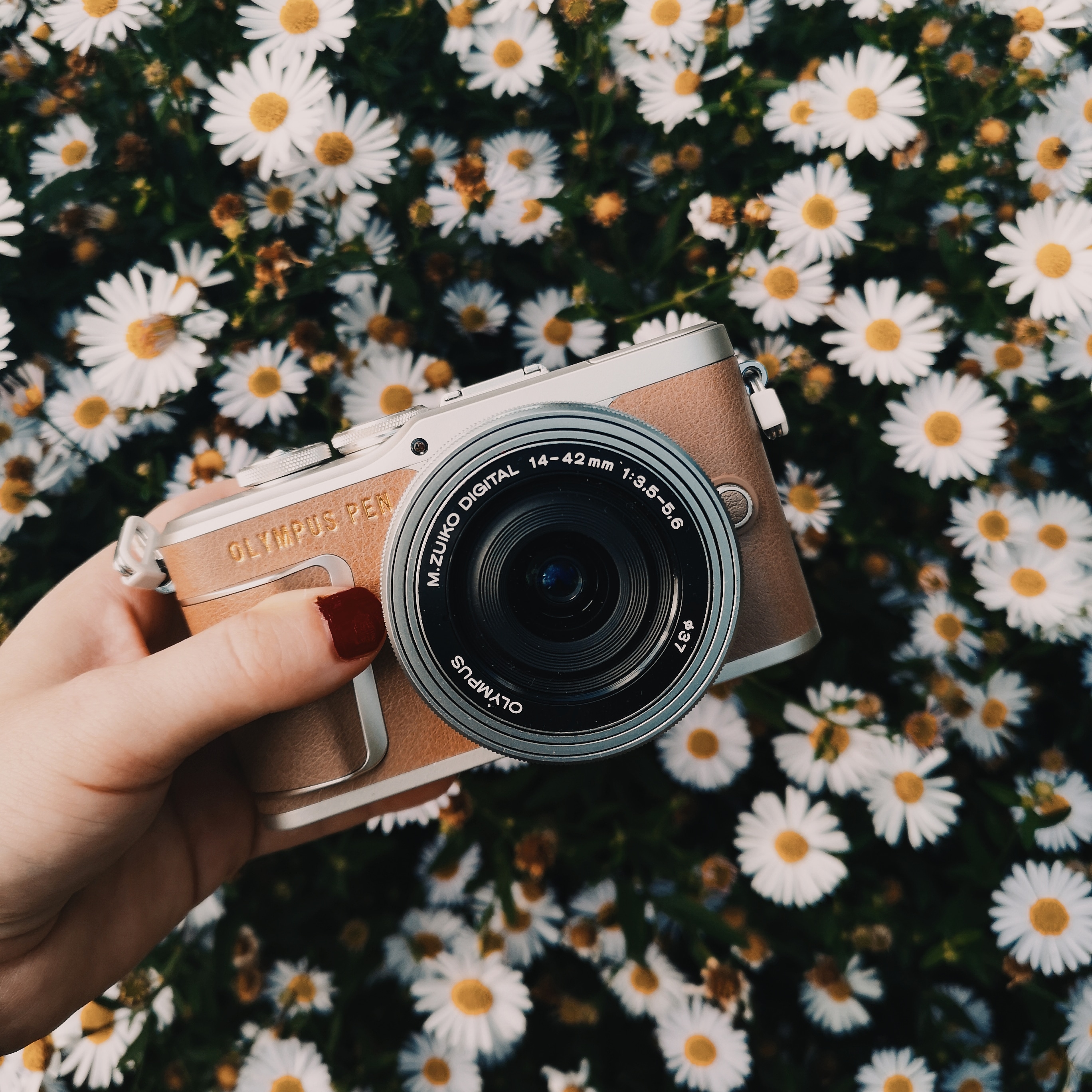 AMY ELIZA PHOTOGRAPHY