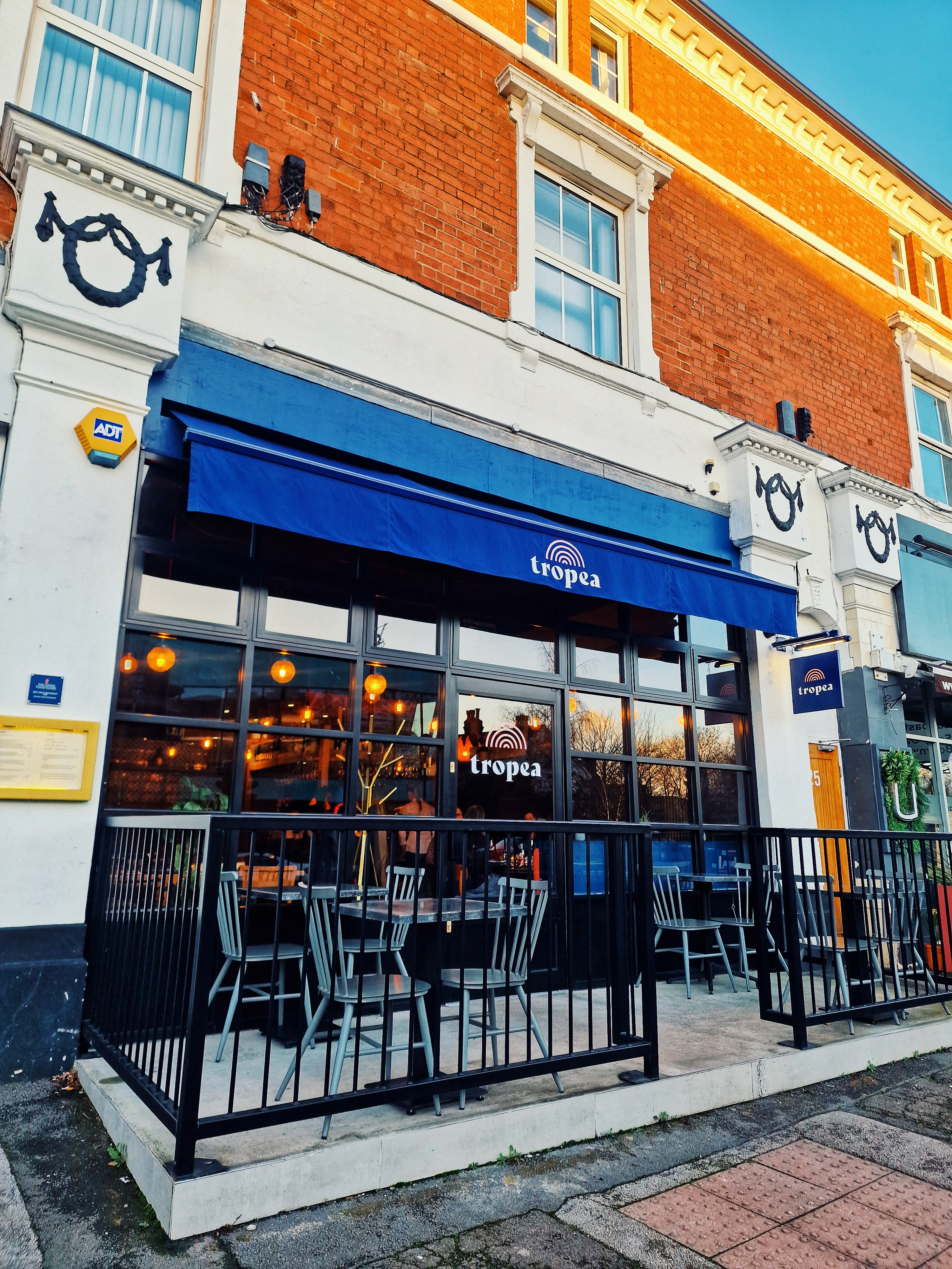 REVIEW: TROPEA HARBORNE